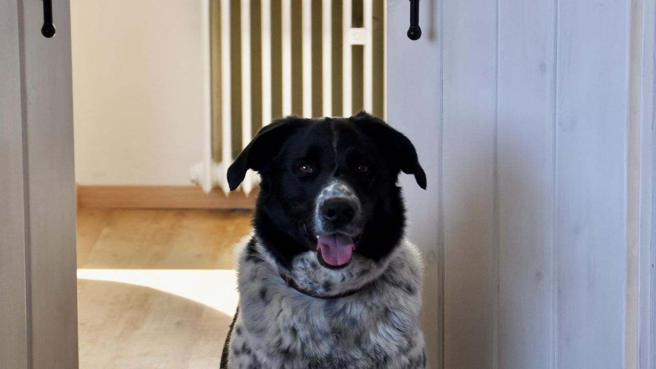 Foto 05.04.24, 13 08 18 Foto 05.04.24, 13 08 18